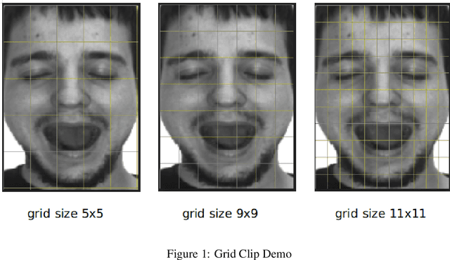 Figure 1 for Masked Face Image Classification with Sparse Representation based on Majority Voting Mechanism