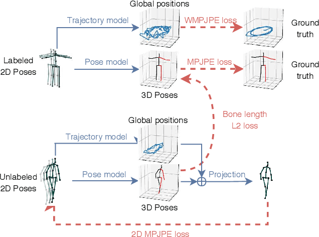 Figure 4 for 3D human pose estimation in video with temporal convolutions and semi-supervised training