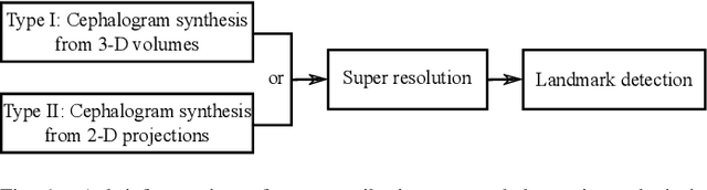 Figure 1 for Cephalogram Synthesis and Landmark Detection in Dental Cone-Beam CT Systems