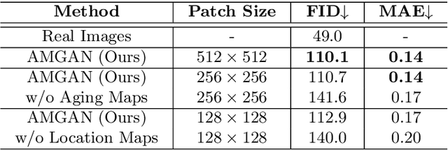 Figure 2 for AgingMapGAN (AMGAN): High-Resolution Controllable Face Aging with Spatially-Aware Conditional GANs