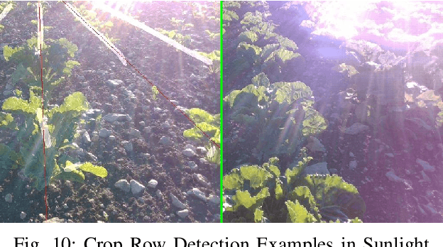 Figure 2 for Towards agricultural autonomy: crop row detection under varying field conditions using deep learning