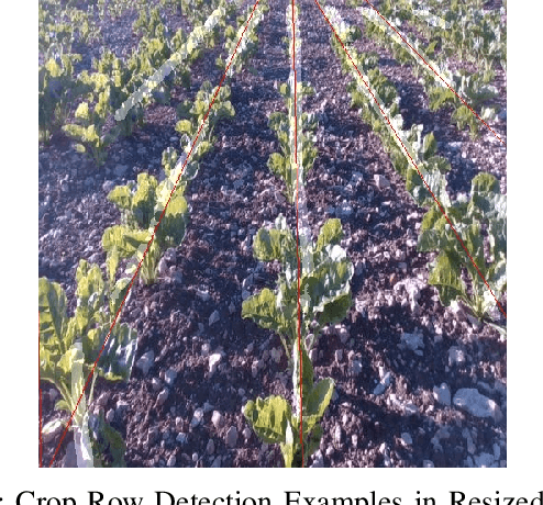 Figure 4 for Towards agricultural autonomy: crop row detection under varying field conditions using deep learning