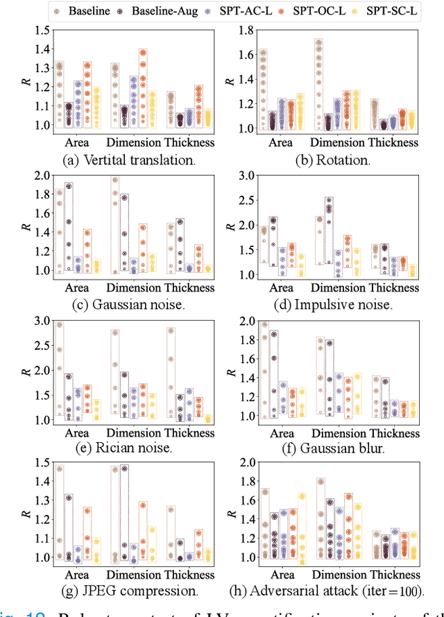 Figure 4 for Steerable Pyramid Transform Enables Robust Left Ventricle Quantification