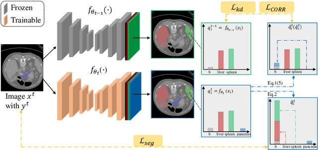 Figure 3 for Incremental Learning for Multi-organ Segmentation with Partially Labeled Datasets