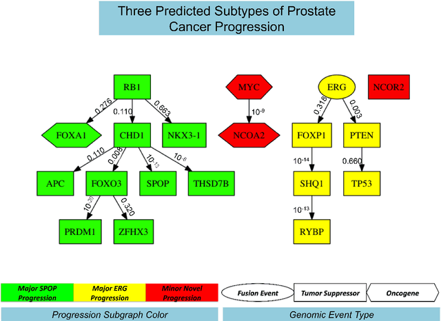 Figure 3 for Inference of Cancer Progression Models with Biological Noise