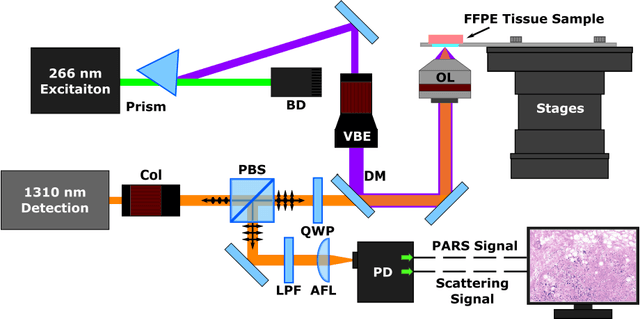 Figure 1 for Single Acquisition Label-free Histology-like Imaging with Dual Contrast Photoacoustic Remote Sensing Microscopy