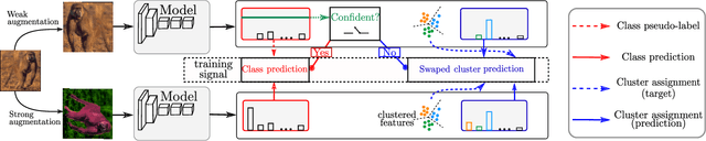 Figure 1 for Barely-Supervised Learning: Semi-Supervised Learning with very few labeled images