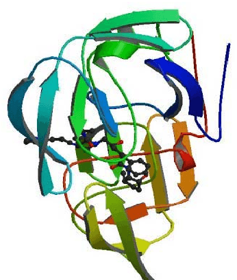 Figure 1 for High Throughput Virtual Screening with Data Level Parallelism in Multi-core Processors