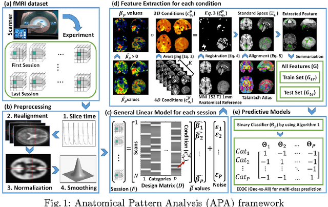 Figure 1 for Decoding visual stimuli in human brain by using Anatomical Pattern Analysis on fMRI images