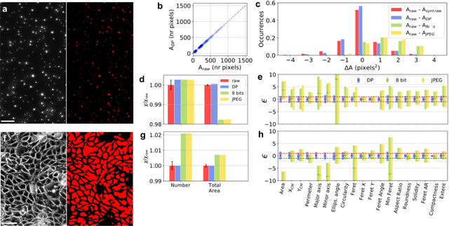 Figure 2 for Quantifying the effect of image compression on supervised learning applications in optical microscopy