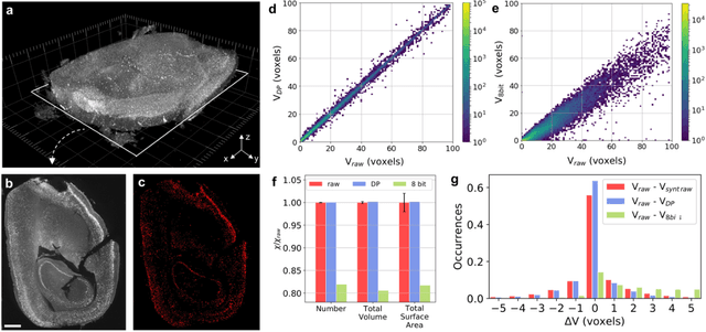 Figure 3 for Quantifying the effect of image compression on supervised learning applications in optical microscopy