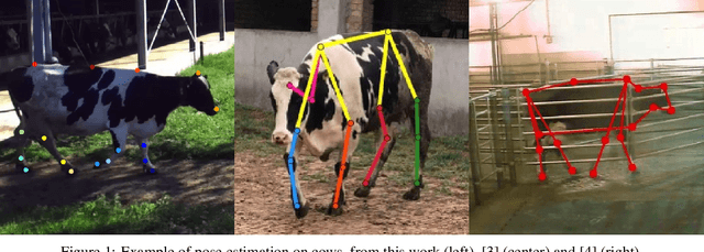 Figure 1 for T-LEAP: occlusion-robust pose estimation of walking cows using temporal information