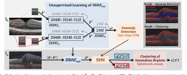 Figure 2 for Unsupervised Identification of Disease Marker Candidates in Retinal OCT Imaging Data