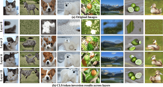 Figure 4 for Splicing ViT Features for Semantic Appearance Transfer