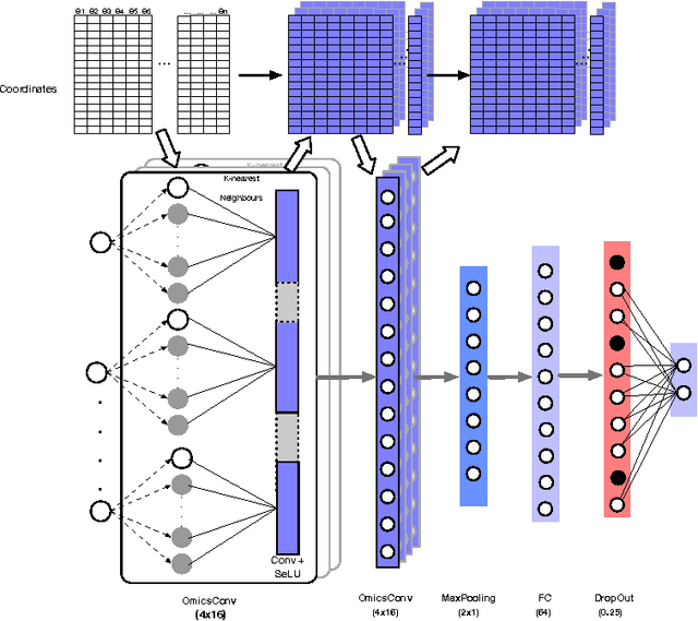 Figure 1 for Convolutional neural networks for structured omics: OmicsCNN and the OmicsConv layer