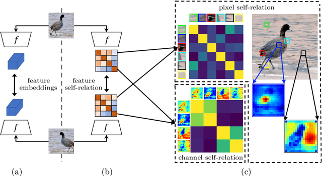 Figure 1 for Exploring Feature Self-relation for Self-supervised Transformer