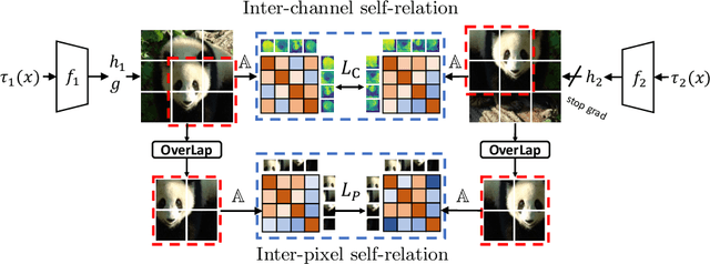 Figure 3 for Exploring Feature Self-relation for Self-supervised Transformer