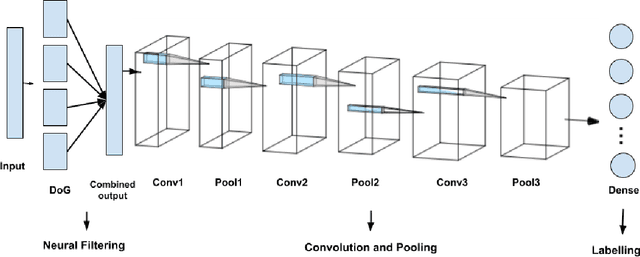 Figure 1 for Implementing a foveal-pit inspired filter in a Spiking Convolutional Neural Network: a preliminary study