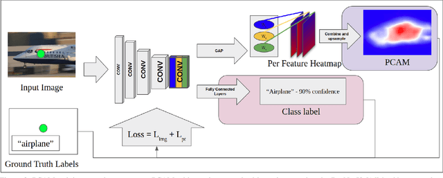 Figure 3 for PCAMs: Weakly Supervised Semantic Segmentation Using Point Supervision