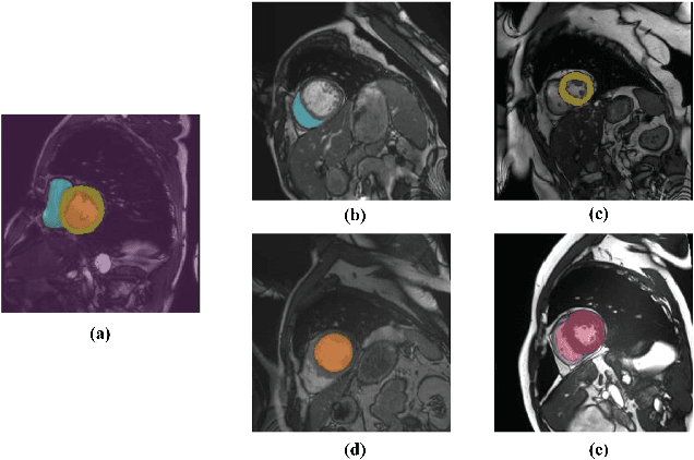 Figure 1 for Deep Compatible Learning for Partially-Supervised Medical Image Segmentation