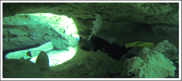 Figure 1 for An Underwater SLAM System using Sonar, Visual, Inertial, and Depth Sensor