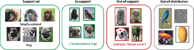 Figure 1 for One Representation to Rule Them All: Identifying Out-of-Support Examples in Few-shot Learning with Generic Representations