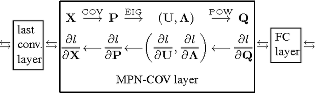 Figure 1 for Is Second-order Information Helpful for Large-scale Visual Recognition?