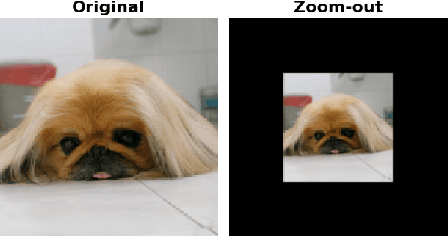 Figure 1 for Improving Classifier Confidence using Lossy Label-Invariant Transformations