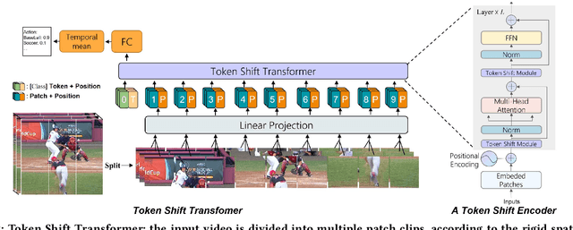 Figure 3 for Token Shift Transformer for Video Classification