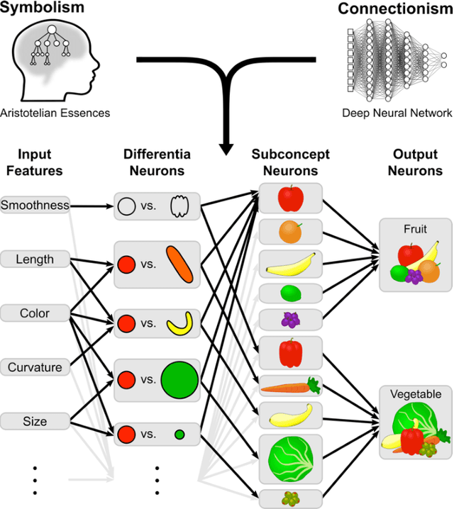 Figure 1 for A neural network model of perception and reasoning