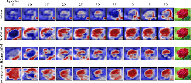 Figure 1 for Escaping the Gradient Vanishing: Periodic Alternatives of Softmax in Attention Mechanism