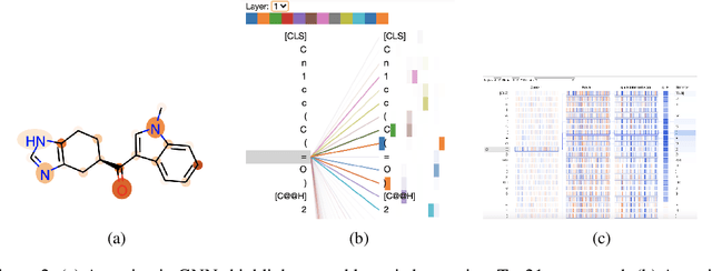 Figure 3 for ChemBERTa: Large-Scale Self-Supervised Pretraining for Molecular Property Prediction