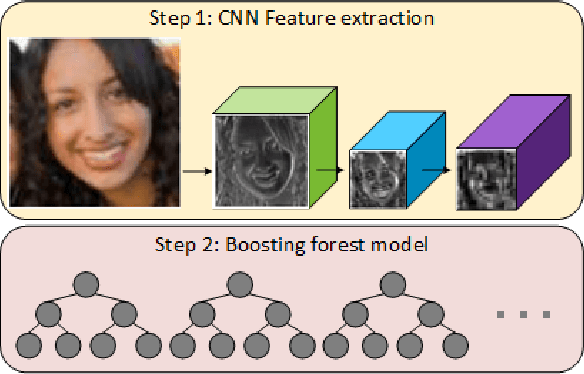 Figure 1 for Convolutional Channel Features