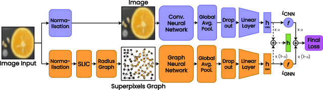Figure 1 for Superpixel-based Domain-Knowledge Infusion in Computer Vision