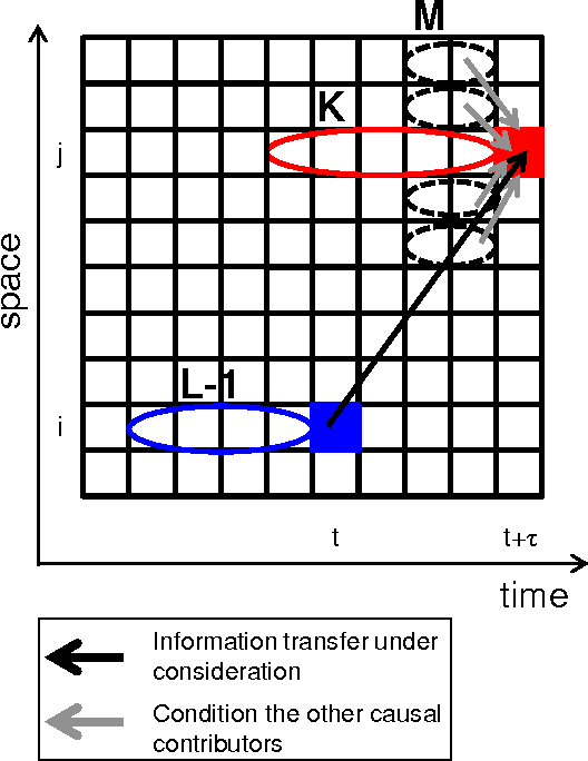 Figure 1 for Measuring information transfer in a soft robotic arm