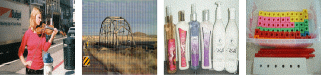 Figure 1 for A Method for Computing Class-wise Universal Adversarial Perturbations