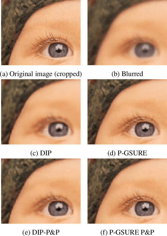 Figure 1 for Image Restoration by Deep Projected GSURE
