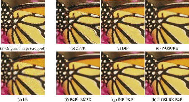 Figure 3 for Image Restoration by Deep Projected GSURE