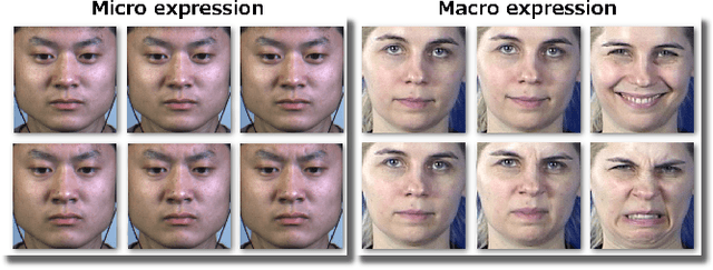 Figure 1 for Advanced local motion patterns for macro and micro facial expression recognition