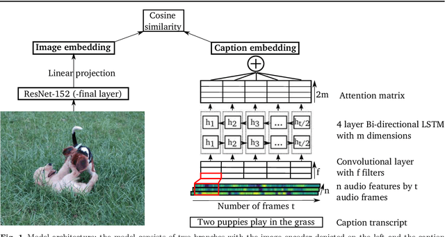 Figure 1 for Modelling word learning and recognition using visually grounded speech