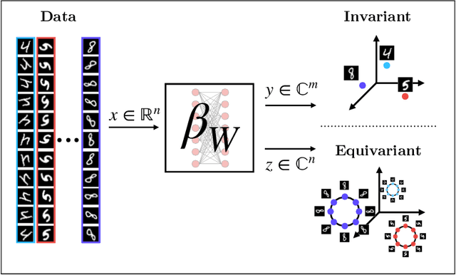 Figure 1 for Bispectral Neural Networks