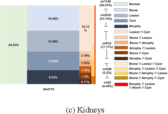 Figure 2 for Weakly Supervised Multi-Organ Multi-Disease Classification of Body CT Scans