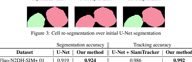 Figure 3 for Tracking-Assisted Segmentation of Biological Cells