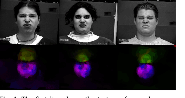 Figure 1 for Dynamic Facial Expression Recognition under Partial Occlusion with Optical Flow Reconstruction