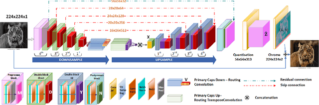 Figure 3 for TUCaN: Progressively Teaching Colourisation to Capsules