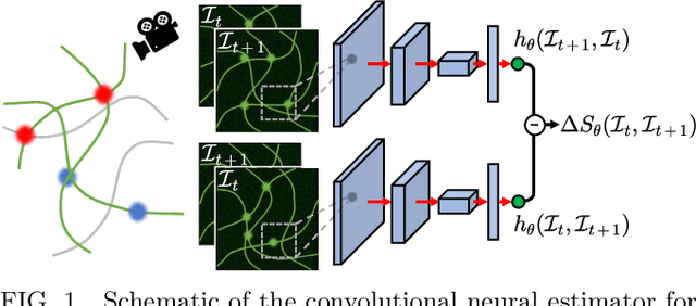 Figure 1 for Attaining entropy production and dissipation maps from Brownian movies via neural networks