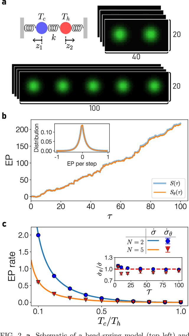 Figure 2 for Attaining entropy production and dissipation maps from Brownian movies via neural networks