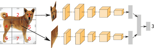 Figure 4 for Self-supervised visual feature learning with curriculum