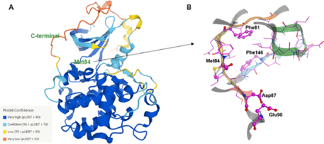 Figure 3 for AlphaFold Accelerates Artificial Intelligence Powered Drug Discovery: Efficient Discovery of a Novel Cyclin-dependent Kinase 20 (CDK20) Small Molecule Inhibitor