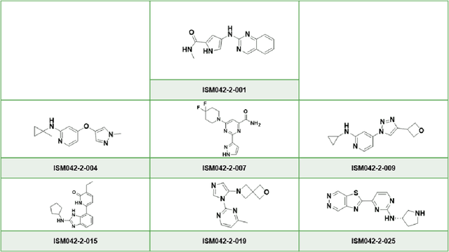 Figure 4 for AlphaFold Accelerates Artificial Intelligence Powered Drug Discovery: Efficient Discovery of a Novel Cyclin-dependent Kinase 20 (CDK20) Small Molecule Inhibitor